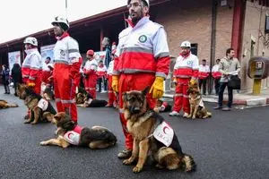 اعزام سگ‌های جستجو و نجات به نقاطی که اسرائیل هدف قرار داد